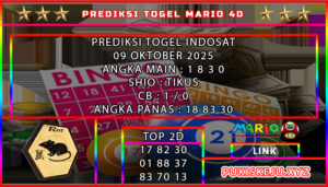 IDT MARIO